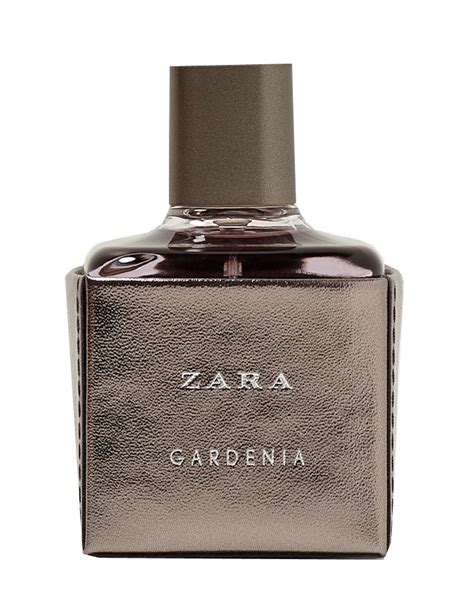 zara perfumes gardenia|zara gardenia perfume online.